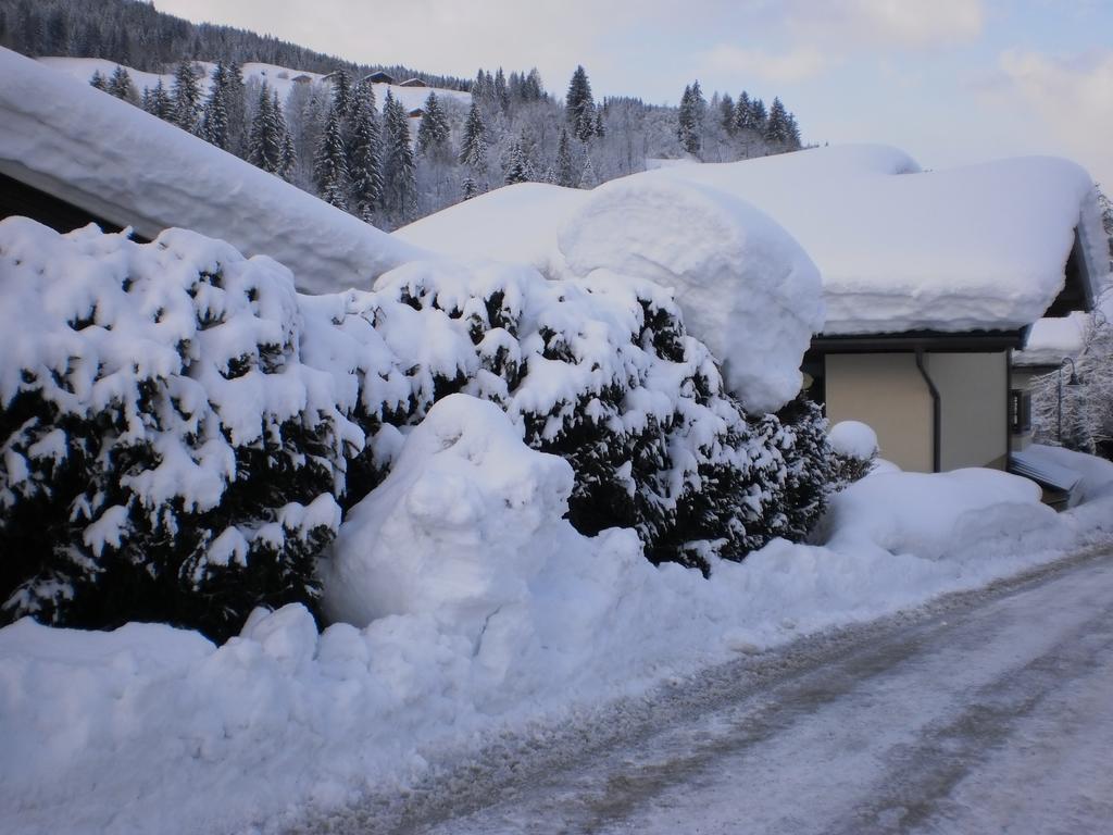 Haus Schoenleiten Wagrain Extérieur photo